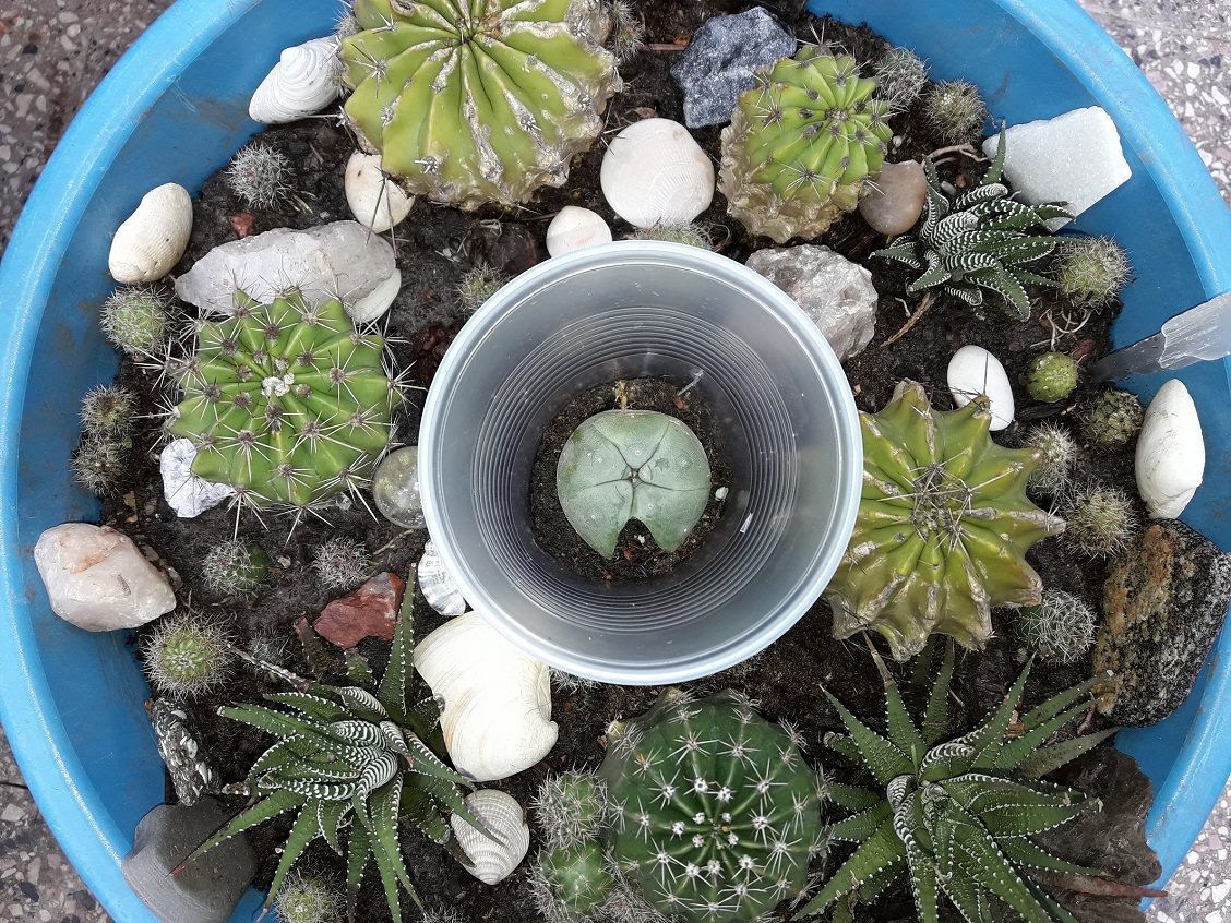 20180511 145421