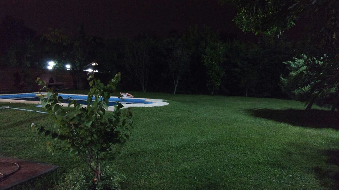 delamor