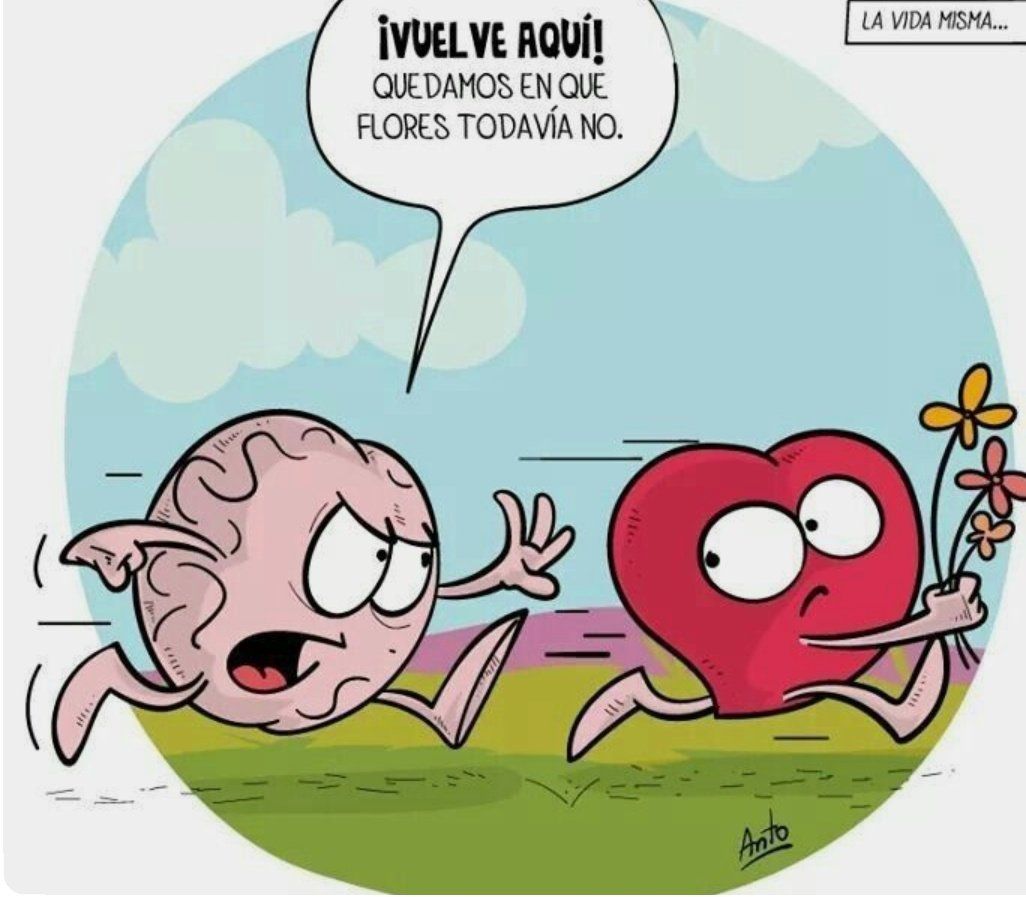 entiende