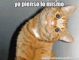 pienso