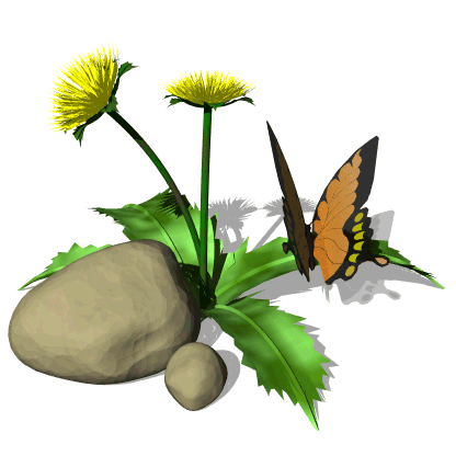 plantas