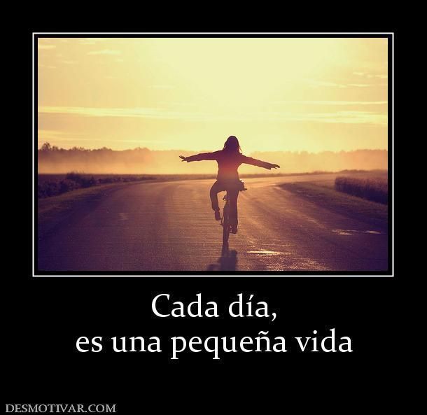 vida